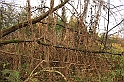 Rostoczek 11.2008 133